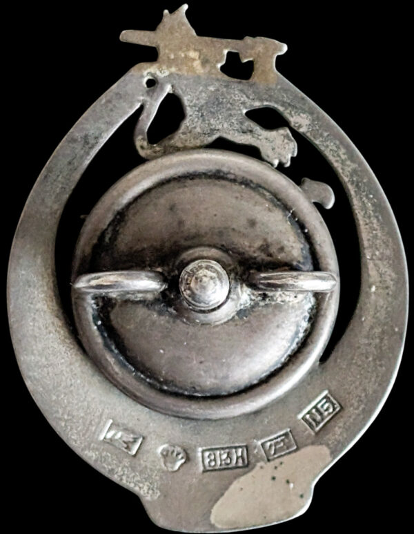 Finland Liberation War Volunteers from Archipelago SFK Badge - Image 2