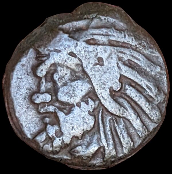 Pantikapaion, Traakia 325-310 eKr., Æ17