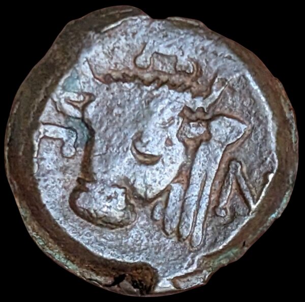 Pantikapaion, Traakia 325-310 eKr., Æ17 - Image 2