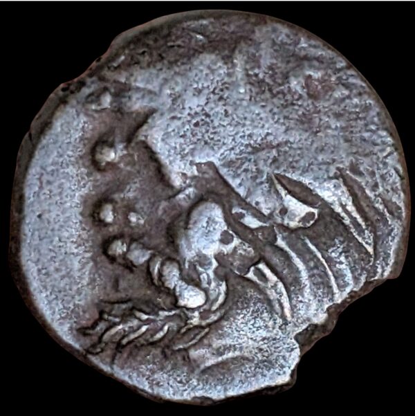 Pantikapaion, Traakia 325-310 eKr., Æ17