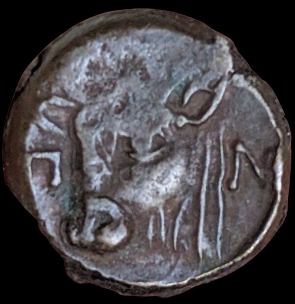 Pantikapaion, Traakia 325-310 eKr., Æ17 - Image 2