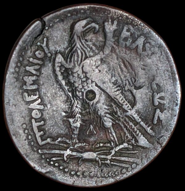 Egypti, Ptolemaios III 246-221 eKr., Æ Tetrobol, Aleksandria - Image 2
