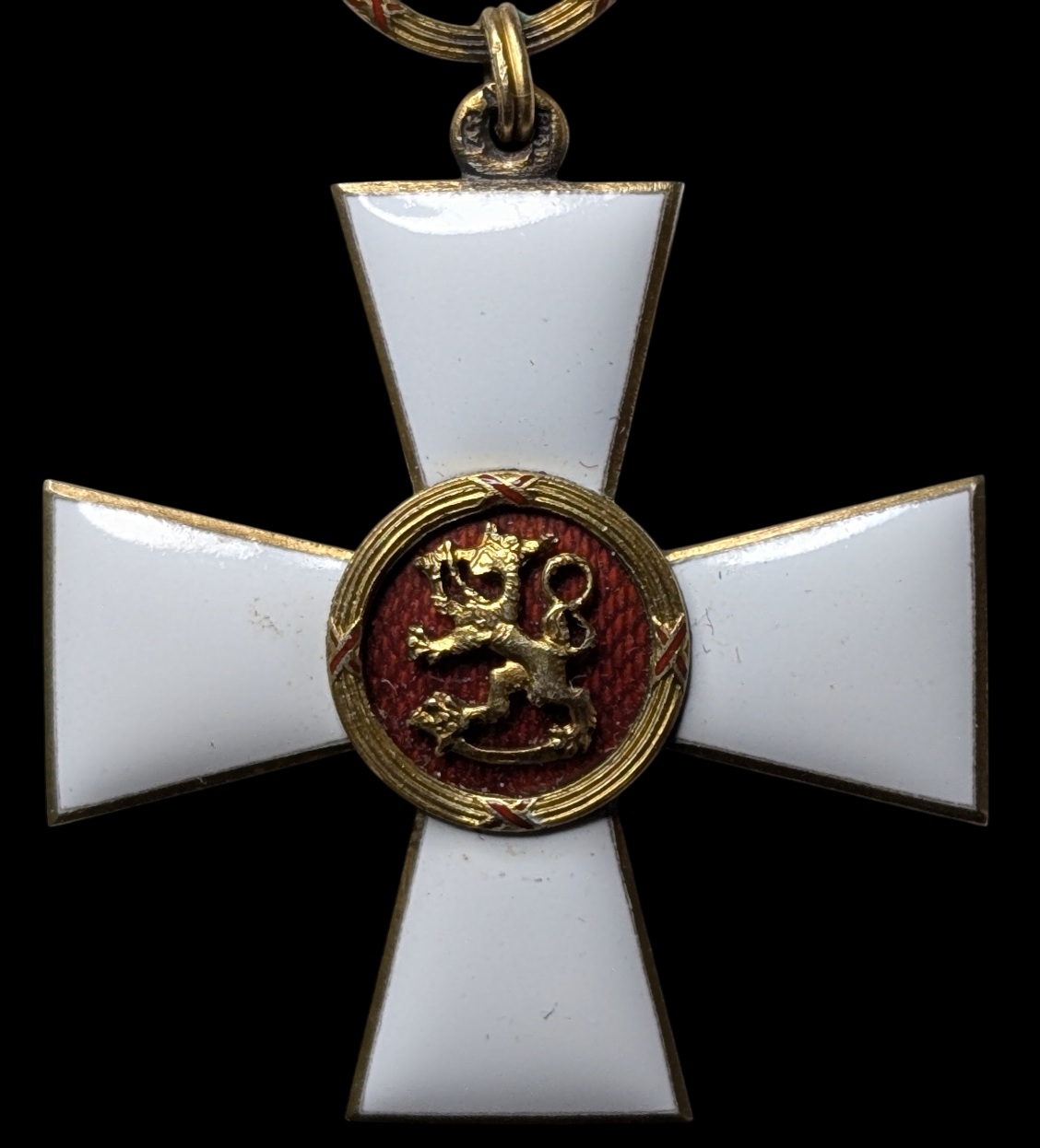 Suomen Leijonan 1. luokan ritarimerkki