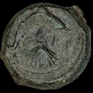 Sisilia, Syrakusa 357-344 eKr., Æ Hemilitron